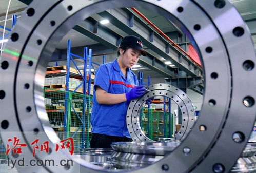 洛陽鴻元軸承科技 研發精密軸承 產品遠銷海外