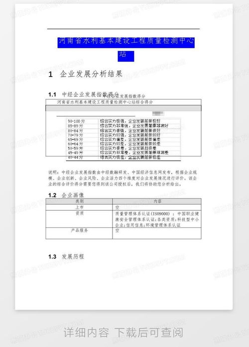 河南省水利基本建設工程質量檢測中心站介紹企業發展分析報告word模板下載 編號lvwnoknm 熊貓辦公