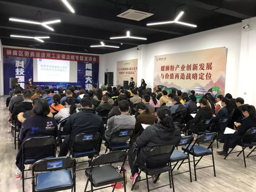 柳南區舉辦勞務派遣用工法律法規專題宣講會，助力互聯網信息服務行業規范發展