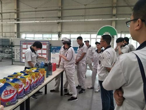 軟質車間 粽香傳情系端午，匠心筑夢展風采